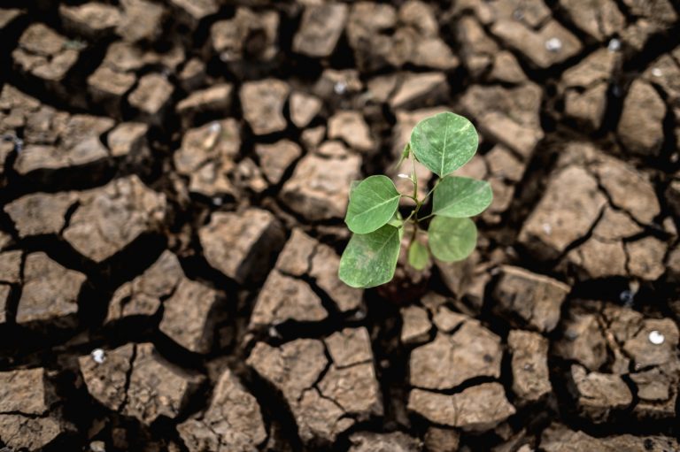 Globalne ocieplenie - przyczyny i skutki. Jak możemy zapobiegać zmianom klimatu w Polsce?