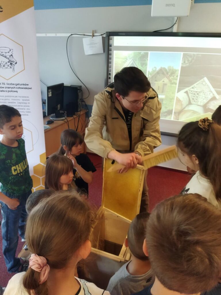 Edukacyjne warsztaty o pszczołach, zapylaczach i ekologii dla szkół i przedszkoli