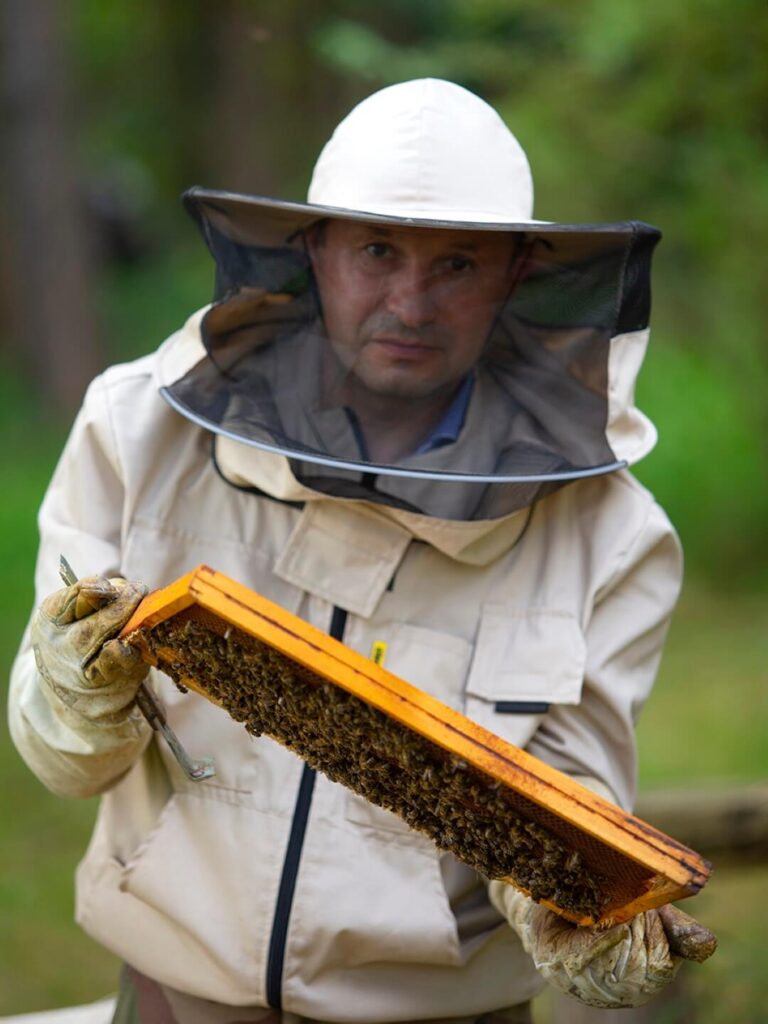 Fundacja ekologiczna Pszczoła Musi Być