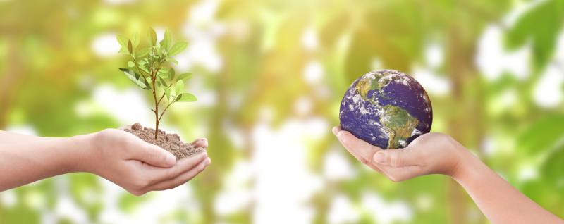 CSR i ochrona środowiska