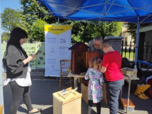 Pszczoła Musi Być na pikniku charytatywnym w Jaworznie