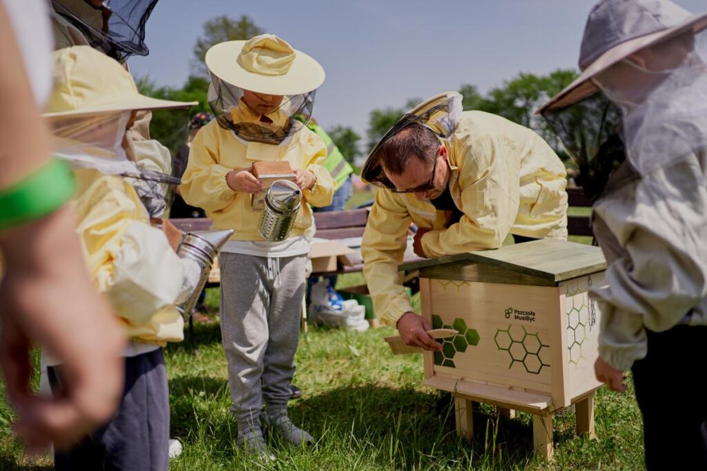 Piknik rodzinny z Somersby — okazja do poznania owadów zapylających