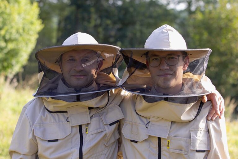 Jak zacząć przygodę z pszczelarstwem?