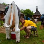 fotorelacja-z-jarmarku-agroturystycznego-w-tokarni-69.jpg