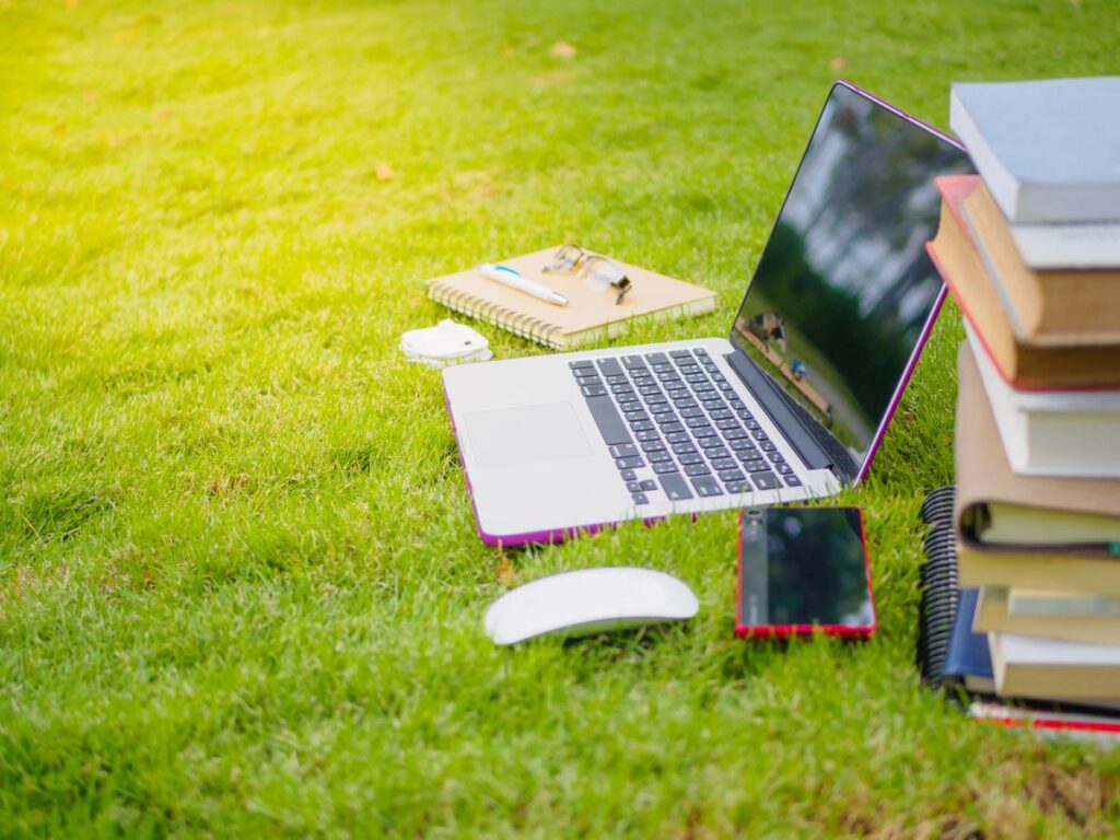 Webinary w ofercie zajęć edukacyjnych Fundacji