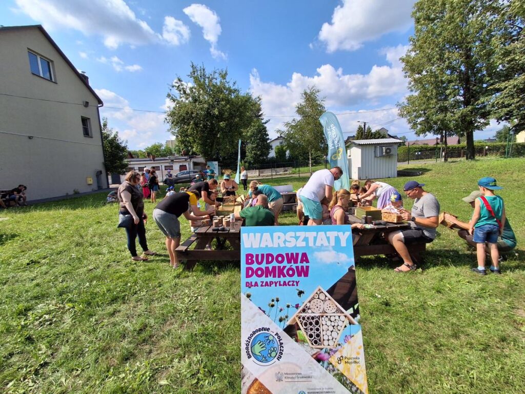 Bioróżnorodnie połączeni w Jaworznie – warsztaty z budowania domków dla zapylaczy