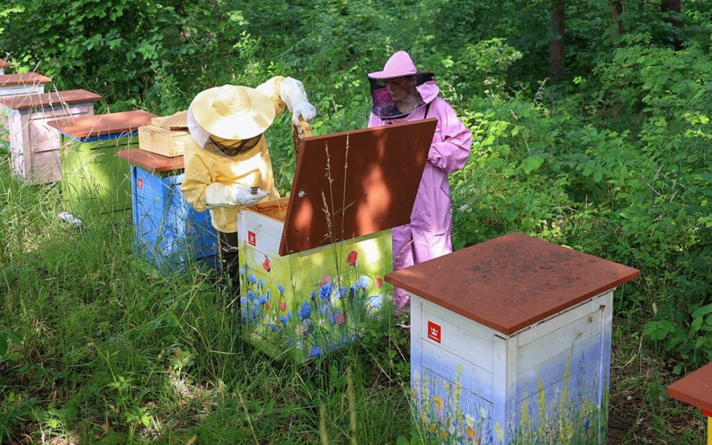 Miodobranie Tikkurila