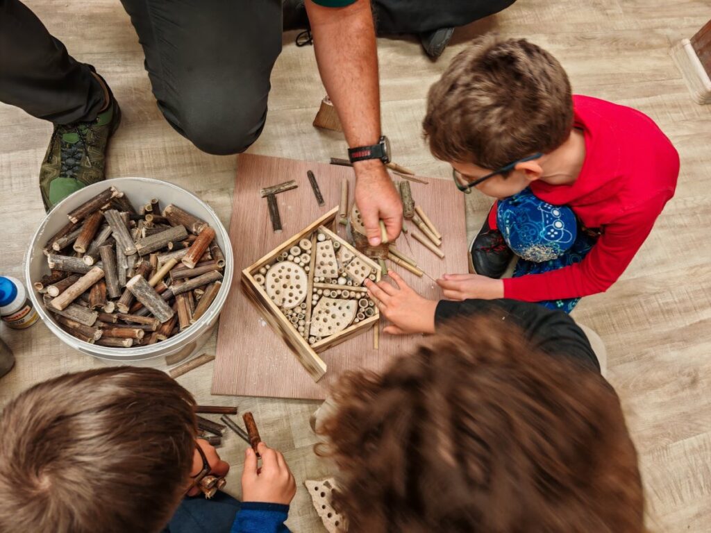Pszczoła na Olsztyńskich Dniach Nauki i Sztuki