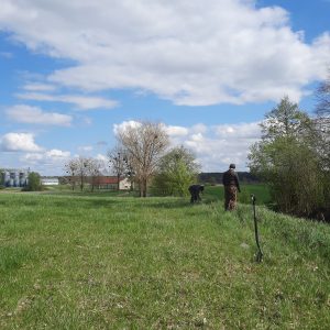 aleja-lipowa-kociborz-start-04.jpg