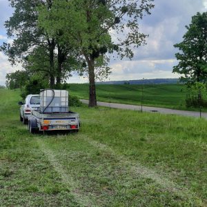 aleja-lipowa-kociborz-start-06.jpg