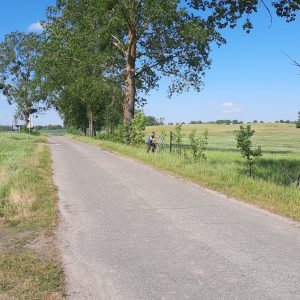 aleja-lipowa-kociborz-start-09.jpg