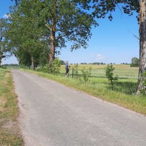 aleja-lipowa-kociborz-start-10.jpg