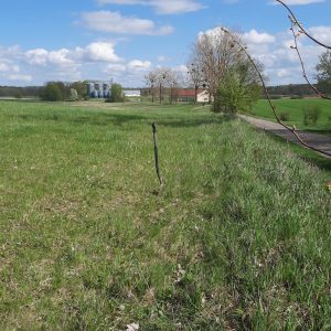 aleja-lipowa-kociborz-start-18.jpg
